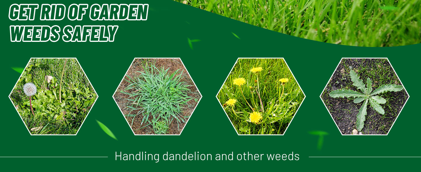 weed puller tool