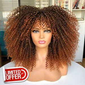 ANNIVIA 16inch Long Curly Afro Wigs for Black Women Afro Kinky Curly Wig with Bangs No Glue Full and Fluffy like a Bomb Full wig (Ombre Brown)