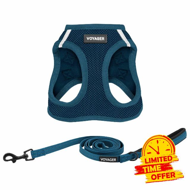 Best Pet Supplies Voyager Step-in Air All Weather Mesh Harness and Reflective Dog 5 ft Leash Combo with Neoprene Handle