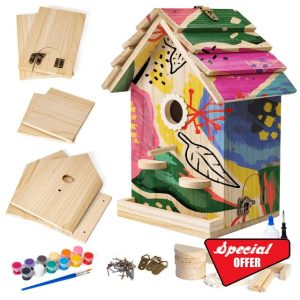DIY Wood Bird House Kits