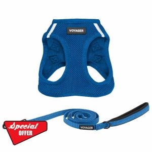Best Pet Supplies Voyager Step-in Air All Weather Mesh Harness and Reflective Dog 5 ft Leash Combo with Neoprene Handle