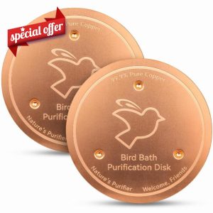 Mellbree 2-Pack Bird Bath Copper Disk