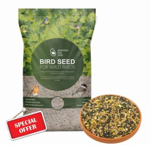 Swainstons Bird Seed Super Song Bird 20kg. Premium Wild Bird Food Blend Of High Energy Ingredients - Ideal for Year-Round Bird Feeding. For Table & Ground Feeding