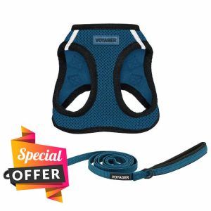 Voyager Step-in Air All Weather Mesh Harness and Reflective Dog 5 ft Leash Combo with Neoprene Handle
