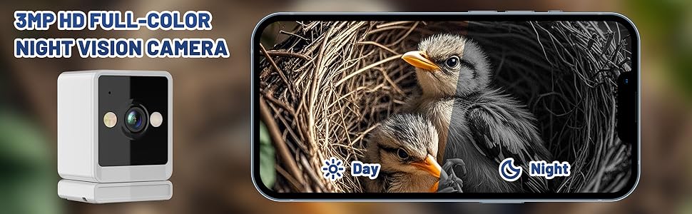 Ai Bird Species Identification