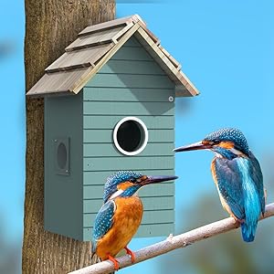 Bird Nesting Box House