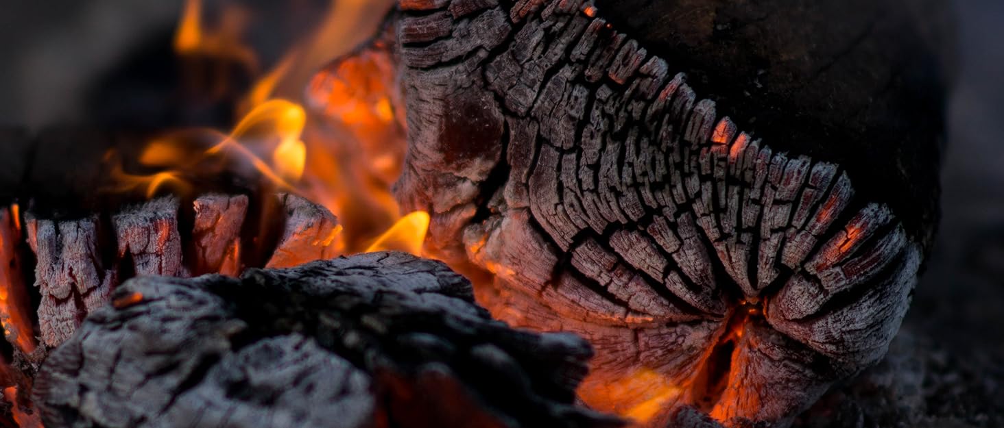 logs