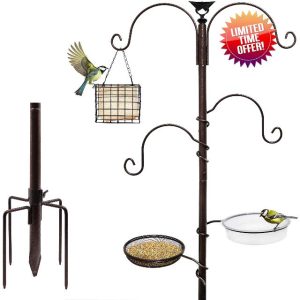 Bird Feeding Station Kit