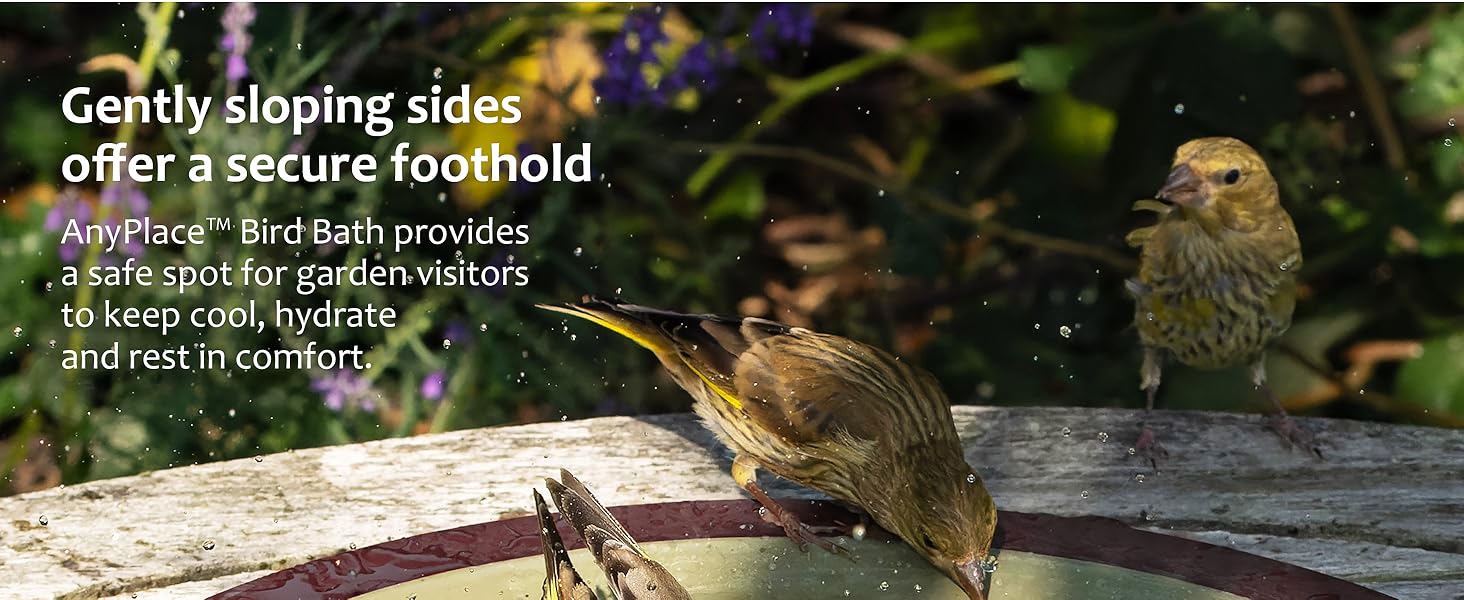 Any Place Birdbath