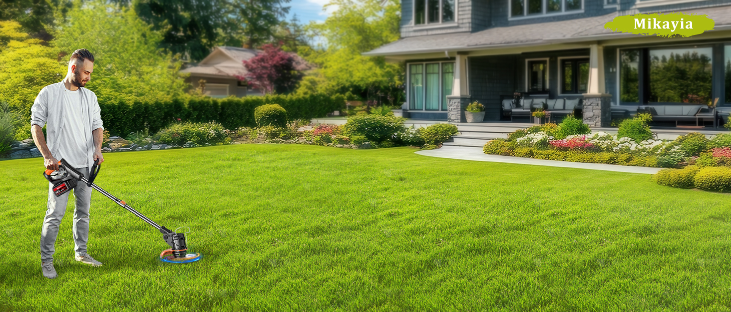 Cordless Strimmer 21v with Li-ion Battery and Charger