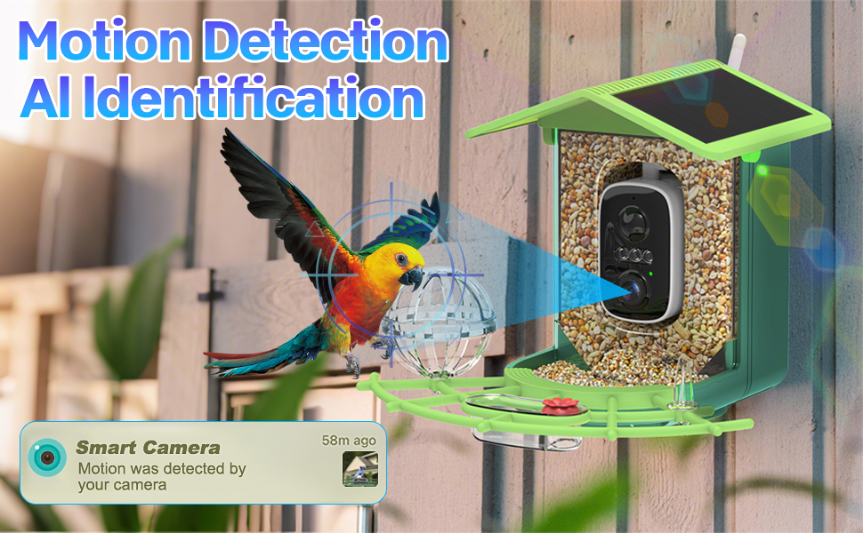 aplus content image