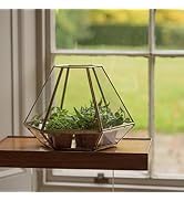 Crocus Collection 43cm Indoor Victorian Style Terrarium Mini Growhouse for Cacti Succulents