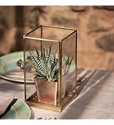 Crocus Collection 30cm Brass Plant Terrarium with Glass Pentagon Geometric Design Watertight Base...