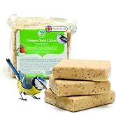 RSPB - Fat Balls for Wild Birds, High Energy Food, Suet Balls for Wild Birds, Made in the UK, Sui...