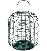 No Grow Bird Seed Mix for Wild Birds, Nutritious Wild Bird Food for Small Birds with Sunflower He...