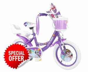 Kids Bike 12" 14" 16" with Stabilisers