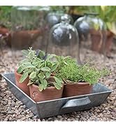 Crocus Collection Set of 10 Terracotta Nursery Seedling Grow Pots Gift Set Windowsill Planter in ...