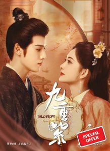 BLOSSOM - COMPLETE CHINESE TV SERIES DVD BOX SET ( MANDARIN DUB WITH ENGLISH SUBS ) SHIP FROM UK