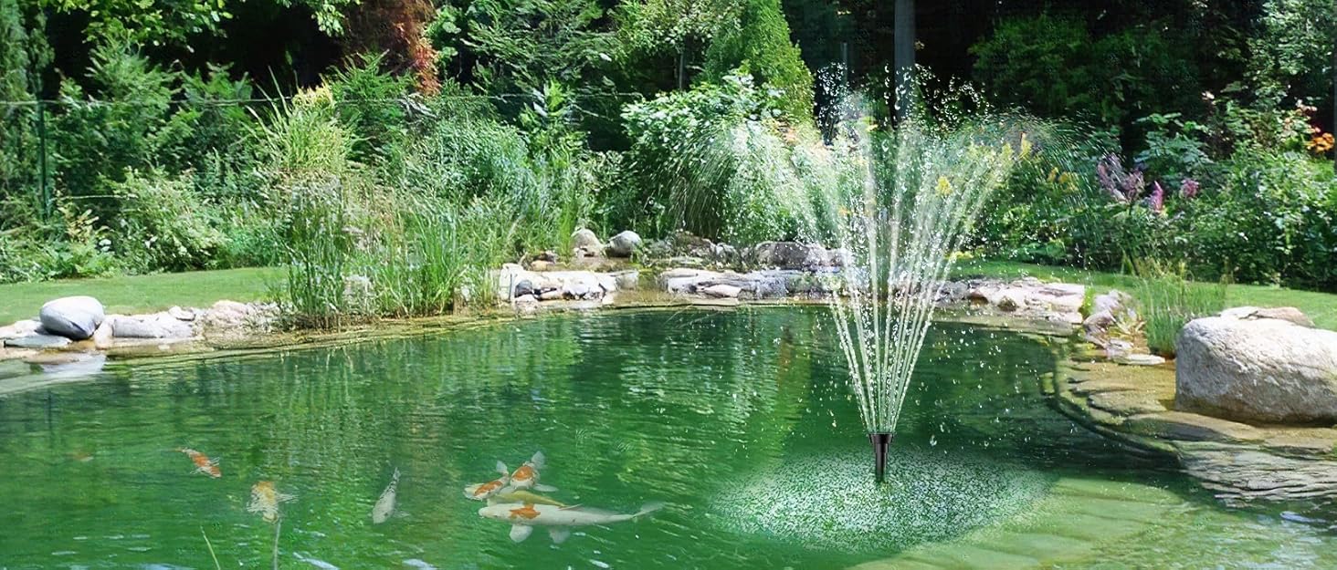 solar pond pump