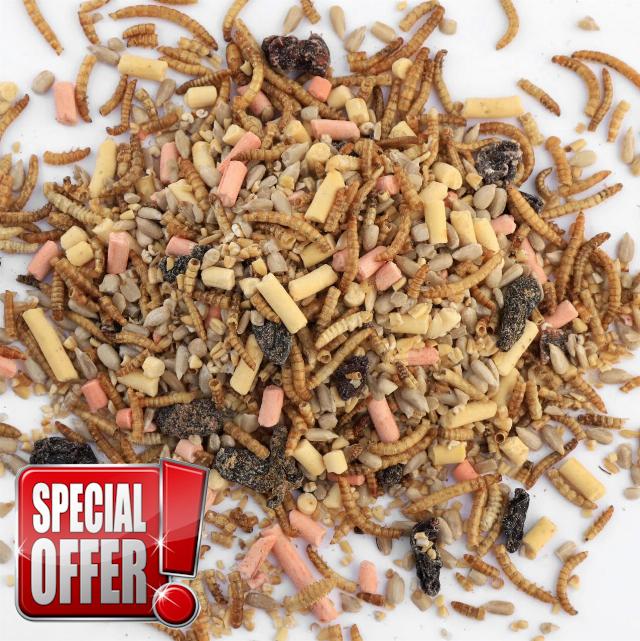 Kennedy Wild Special Blend Robin Food (20kg) Nutritious Seed