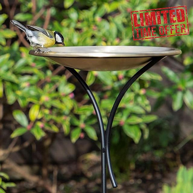 Collection 129cm Bird Bath Round Bowl on Freestanding Decorative Pole Stake Brushed Brass