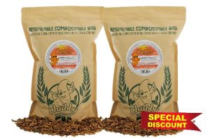 Chubby Mealworms EU Grown Refill Bag (2Kg)