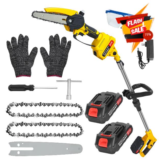 2-in-1 Mini Chainsaw and Electric Pole Saw