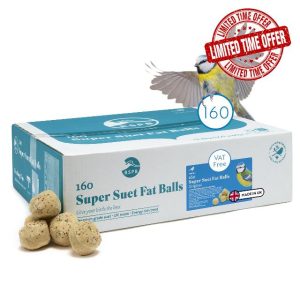 RSPB Wild Bird Food Super Suet Fat Balls