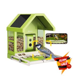 Birdfy Smart Bird Feeder Camera