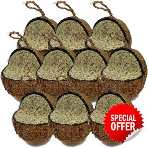 Love Wildlife Seed & Nut Whole Coconuts 10pk | Premium Suet Filled Quarter Cut Coconut Shells for Wild Garden Birds