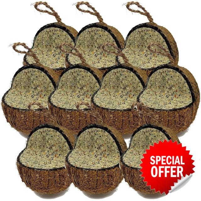 Love Wildlife Seed & Nut Whole Coconuts 10pk | Premium Suet Filled Quarter Cut Coconut Shells for Wild Garden Birds