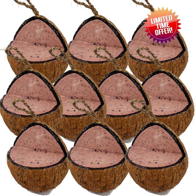 Love Wildlife Fruit & Berry Whole Coconuts 10pk | Premium Suet Filled Quarter Cut Coconut Shells for Wild Garden Birds