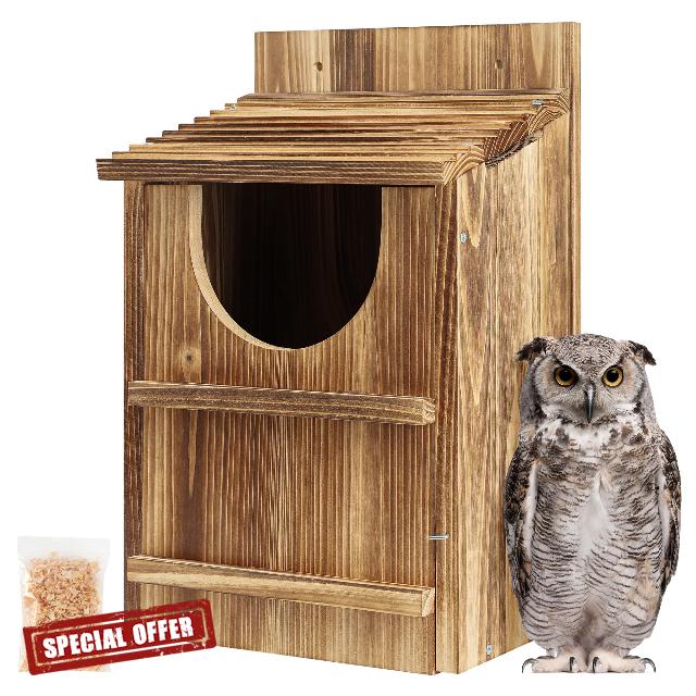 Owl House