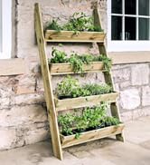 ladder planter