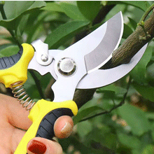 strimmer cordless