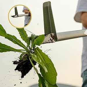 weeder root remover tool