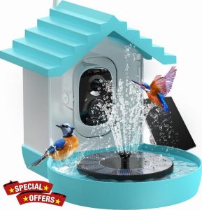Outdoor Bird Feeders with Watching Camera and Fountain for Small Birds