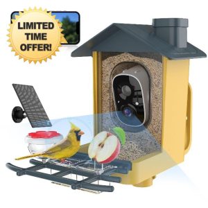 oddkont Bird Feeder with Camera - Smart Bird Feeder Camera with AI Identify Bird Species