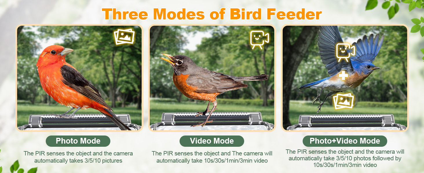 Bird feeder interface showing three modes with photos of different birds. Features photo, video, and combination capture options.