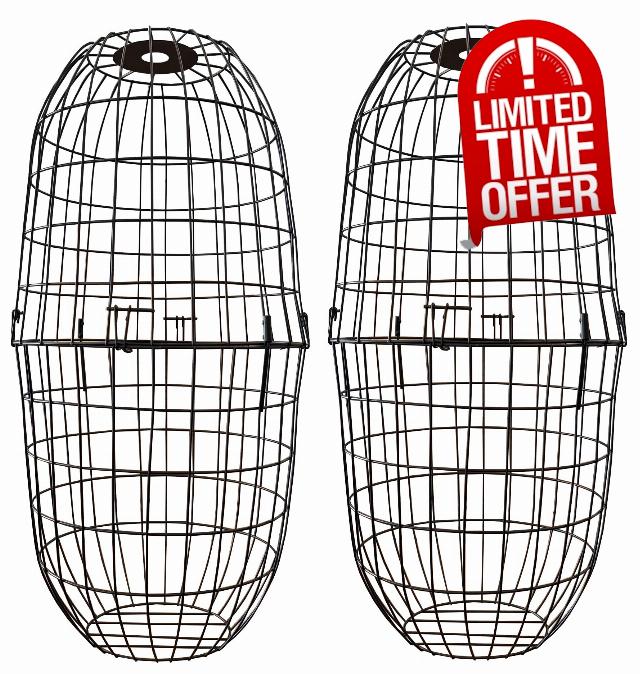Large Squirrel Proof Hanging Bird Feeder Protection Cage (Pack of 2)