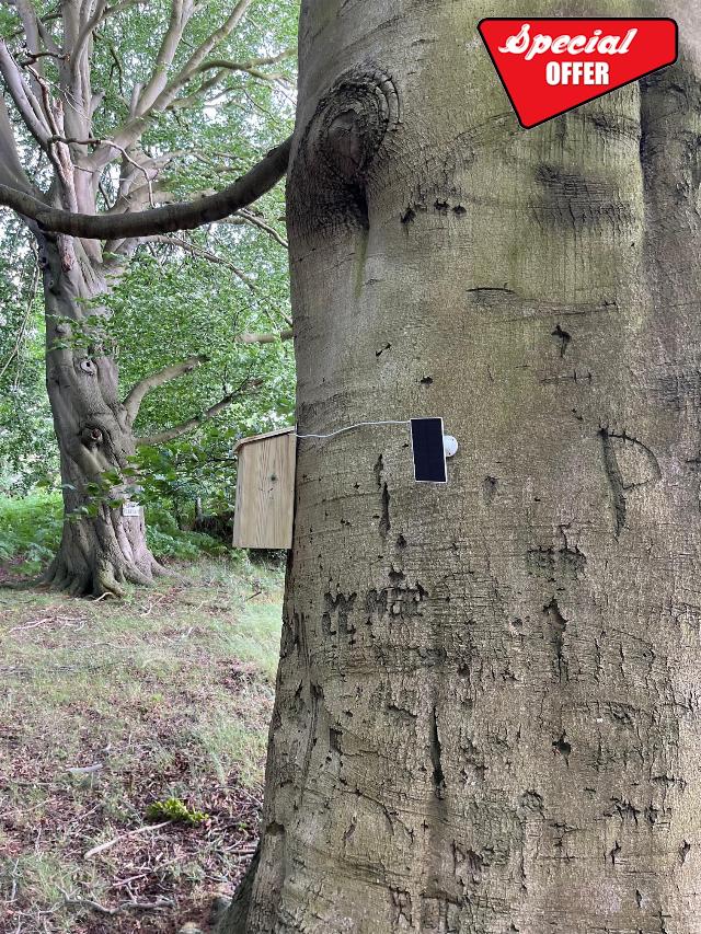 Bird Nesting Box Camera Wifi Solar Rechargeable Batteries No Cables Watch From Smart Phone iPAD Easy To include All Fixings & 6mm Drill Bit. Hand made in U.K