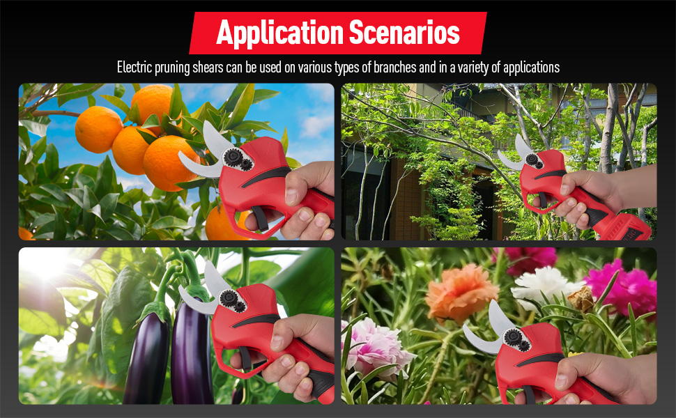 aplus content image