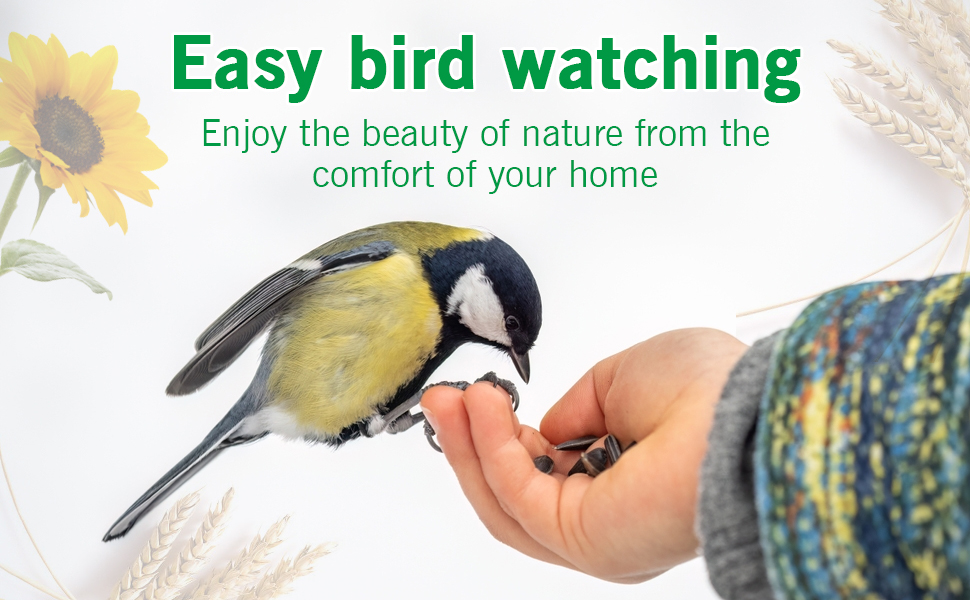 bird seed bird food wild bird seed wild bird food