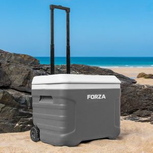 BBQ or Team Sports [20L 41L 47L 98L]