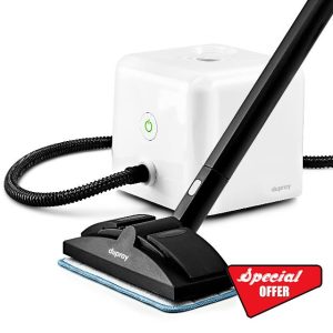 Dupray Neat Steam Cleaner with 17-Piece Accessory Kit – Powerful Multipurpose Steamer for Chemical-Free Deep Cleaning on Floors
