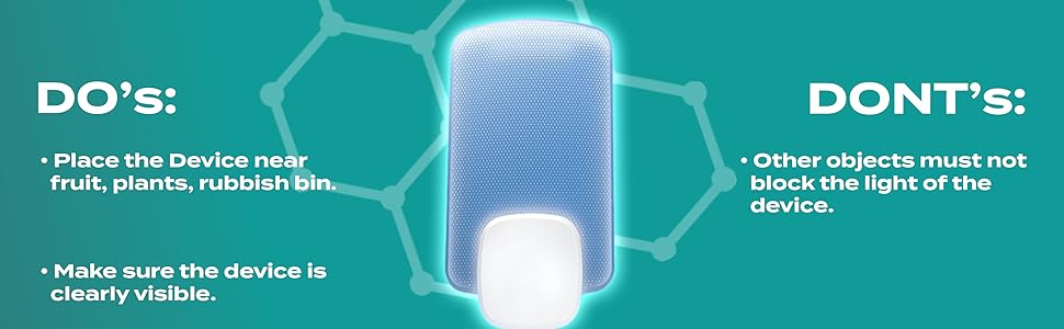 Natural flying insect killer