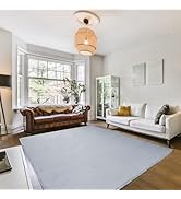 SETHEPACE Non Slip Area Rugs Living Room, Coral Fleece Short Pile Rug for Bedroom, Soft Fluffy Ca...