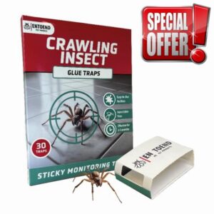 ENTOEND Crawling Insect Glue Traps | Pack of 30 | Sticky Indoor Spider Catcher | Easy to Use Adhesive Paper Trap to Catch Spiders
