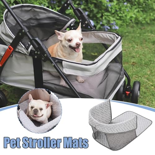 Disabled And Pregnant Dogs