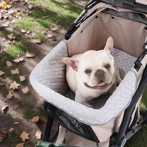 Outdoor Walking Animal